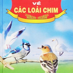 Từ điển Tranh về các loài chim 169543