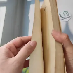 [XƯA] [HIẾM] Con Bụi (1990) - Trần Chiến 997596