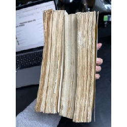 Danh nhân đất việt - Quỳnh Cư & Văn Lang & Nguyễn Anh ( trọn bộ ) 127600