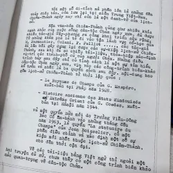 Lịch sử dân tộc Chàm - DOHAMIDE 692650