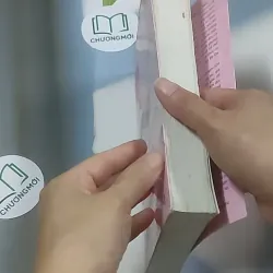 Nhật ký lấy chồng - Nhân Hải Trung 688623