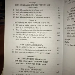 Xu hướng biến đổi quan hệ dân tộc ở Việt Nam trong thời kỳ đổi mới  729172