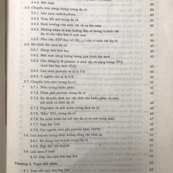 CÁC HỆ THỐNG CHĂN NUÔI GIA SÚC NHAI LẠI 462182