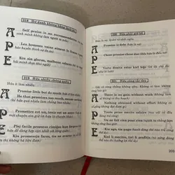 Tục Ngữ So Sánh  717361