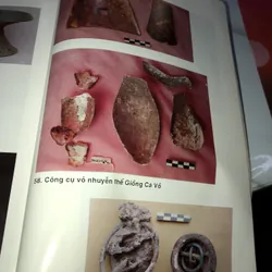 Khảo cổ học tiền sử và sơ sử Tp HCM  738099