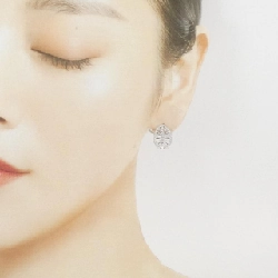 K14WG Bông tai - Hàng hiệu Chính hãng 872814