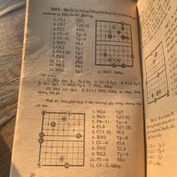 Cờ tàn nghệ thuật 707065