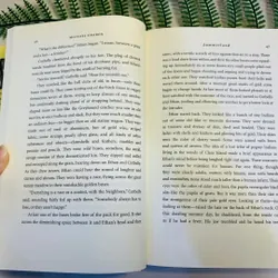 [Sách tiếng Anh 2hand] Like new 90% - Summerland - Michael Chabon 590278