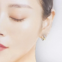 K18YG/PT900/K18PG Bông tai - Hàng hiệu Authentic 866532