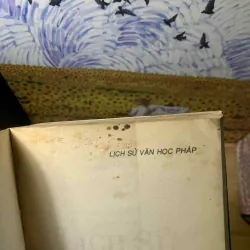 Lịch Sử Văn Học Pháp - Xavier Darcos 560540