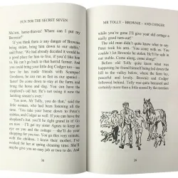 Sách The Secret Seven - Trọn bộ 16 quyển 747024