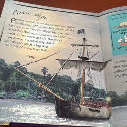 PICTURE BOOK Pirates 536721