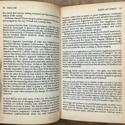 Stone Cold: The True Story of Michael Stone and the Milltown Massacre - Martin Dillon 734949