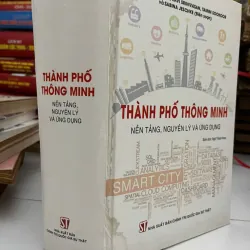 Thành phố thông minh: Nền tảng, nguyên lý và ứng dụng 1006598