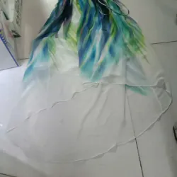 Đầm voan sắc màu size 8 giá 75k 1039610