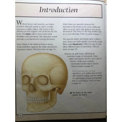 The Skeleton and Muscular System BÌA CỨNG mới 80% bẩn nhẹ Carol Ballard HPB2707 NGOẠI VĂN 192497