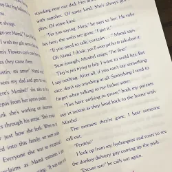 Disney Encanto: A Tale of Three Sisters 972092