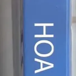 Hoa Sen Trắng - Phản ánh chân thực nội dung về hoa sen và thiền 700854