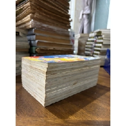 Truyện tranh cô gái đến từ quá khứ