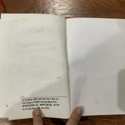 Tiếng chim hót trong bụi mận gai (14) 762301