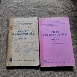 Lịch sử văn học Việt Nam: Giai đoạn 1930-1945 (2 tập )