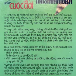 Hướng đi cho cuộc đời 1002535