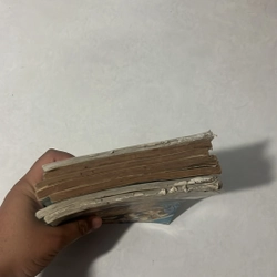 Cậu bé thần giáo 528136
