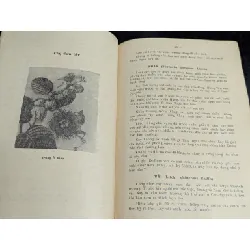 Trồng cây ăn trái ở cao nguyên miền nam - Nguyễn Cao Ban 588841
