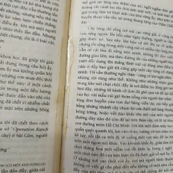 HOA TRÁI QUANH TÔI 596895