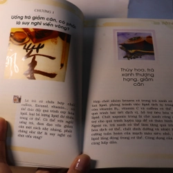 Làm đẹp bằng trà 2004, Hướng Tiểu Huệ  477285