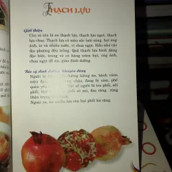 28 loại thực phẩm phòng ngừa bệnh dạ dày - Thiên Kim 778299