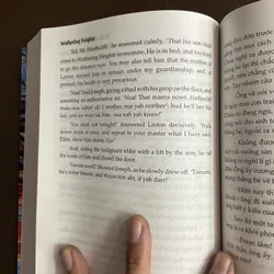 [SONG NGỮ ANH- VIỆT] ĐỈNH GIÓ HÚ - Emily Bronte 717042