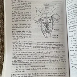 Giải phẫu sinh lý à sách y, khổ lớn; 314 trang  1025091