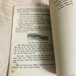 NUÔI TRĂN , nxb: 1987 956911