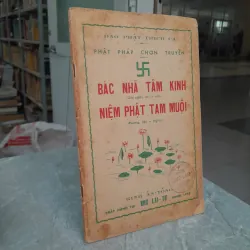 BÁC NHÃ TÂM KINH NIỆM PHẬT TAM MUỘI
