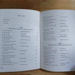 Thơ Chế Lan Viên & Những Lời Bình 501035