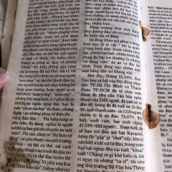 Sinh viên ngày nay - Năm 2000: 100% sinh viên thạo vi tính  1031146