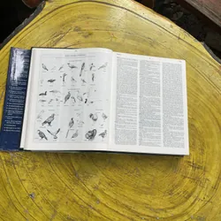 OXFORD ADVANCED LEARNER’S ENCYCLOPEDIC DICTIONARY  603317