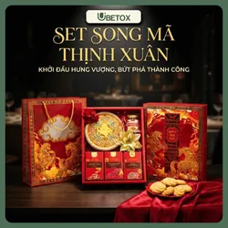 Sét  quà tết 2026- Song mã thịnh xuân (kèm túi)  737056