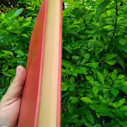 Câu thơ yên ngựa tiểu thuyết lịch sử của Hoàng Yến 999660