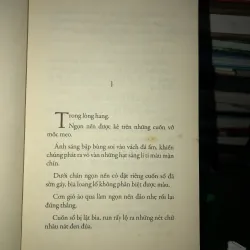 Vào cõi - Nguyễn Bình Phương  1018611