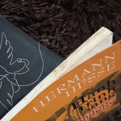 Combo Herman Hesse 996749