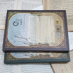 Tác phẩm kinh điển THỂ XÁC VÀ TÂM HỒN, tác giả Maxence van der Meersch 703572