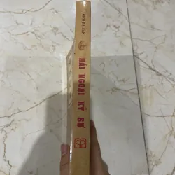 Hải ngoại kỷ sự - Thích Đại Sán  970195