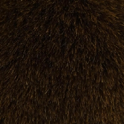 MILA OWEN - Áo khoác - Hàng hiệu Authentic 825915