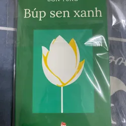 Búp sen xanh
