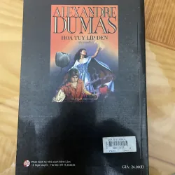 Hoa tulip đen 990472