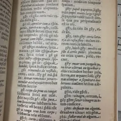 TỪ ĐIỂN AN NAM - LUSITAN - LATINH  (ALEXANDRE DE RHODES) 726636