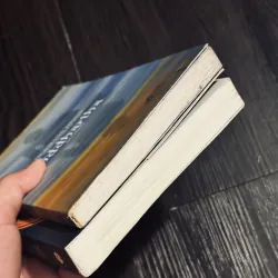 Combo 2c Hermann Hesse 994195