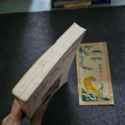 Hoa mưa - Trần thị trường 735629